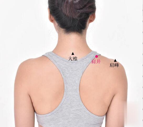 肩井的準(zhǔn)確位置圖及功效視頻位位置圖
