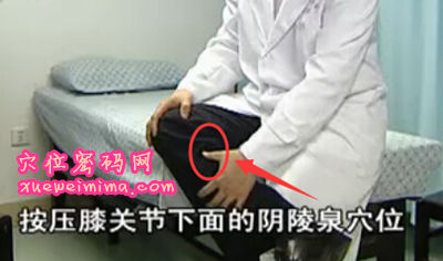 陰陵泉穴的位置圖