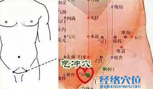 氣沖穴、沖門穴
