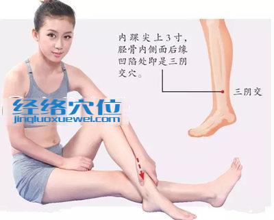 三陰交穴的位置圖