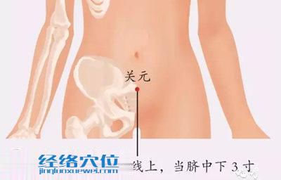 關(guān)元穴的位置圖