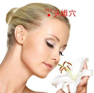 頭維穴位位置圖