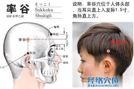 率谷穴的位置圖