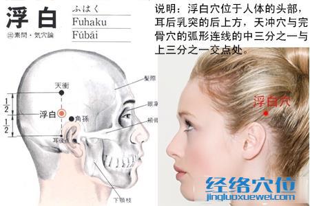 浮白穴的位置圖