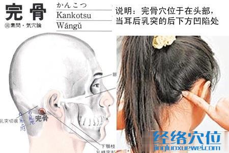 完骨穴的位置圖