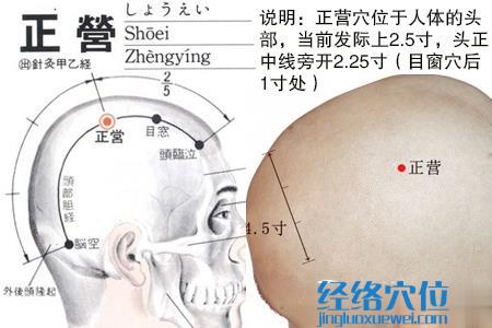 正營穴位位置圖