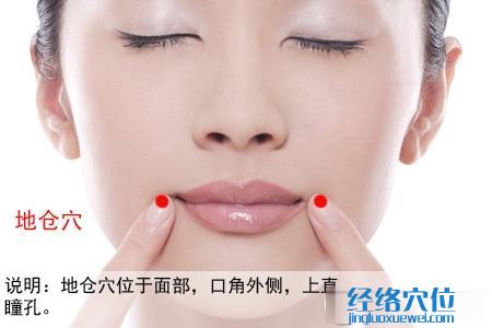 地倉(cāng)穴位位置圖