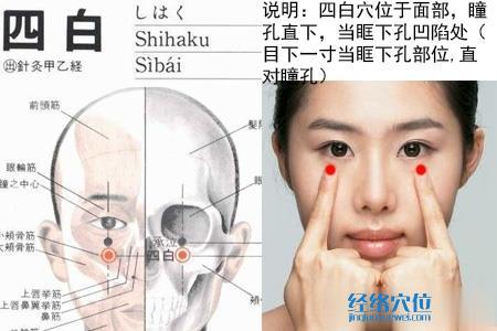 四白穴位位置圖