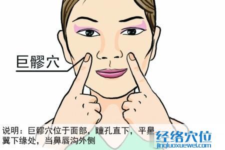 巨髎穴位位置圖