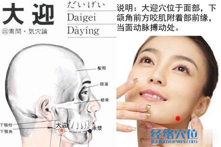 大迎穴位位置圖