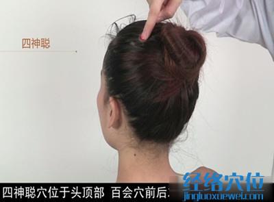 四神聰穴位位置圖