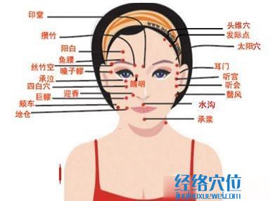 面部穴位圖解大全