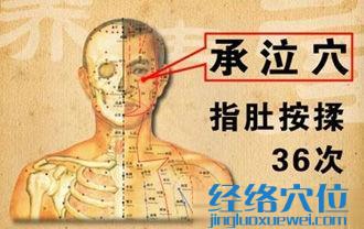 承泣穴的位置圖