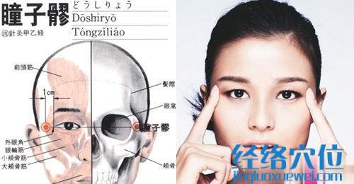 瞳子髎穴位位置圖