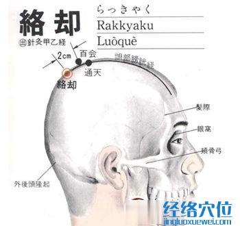 絡(luò)卻穴位位置圖