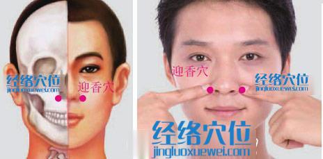 迎香穴位位置圖