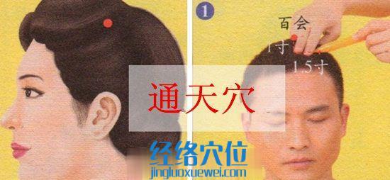通天穴位位置圖