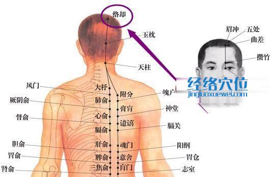 足太陽(yáng)膀胱經(jīng)絡(luò)卻穴位圖