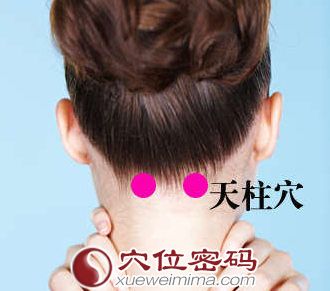 天柱穴的位置圖