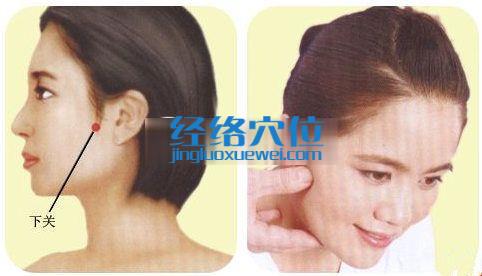 下關(guān)穴位位置圖