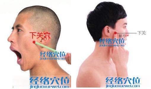 下關(guān)穴位位置圖