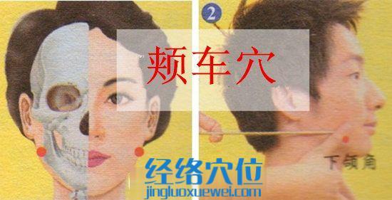 圖解頰車(chē)穴的準(zhǔn)確位置圖