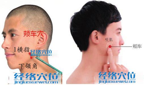 頰車(chē)穴位位置圖