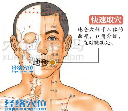 地倉穴的準(zhǔn)確置圖