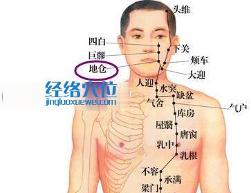 圖解地倉穴的位置