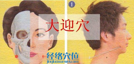 大迎穴的準(zhǔn)確位置圖
