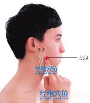 大迎穴位位置圖