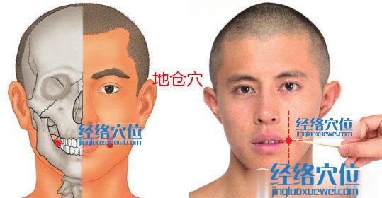 地倉穴位位置圖