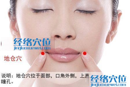 地倉穴位位置圖