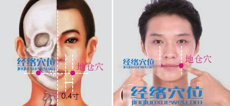 地倉穴的準(zhǔn)確位置圖