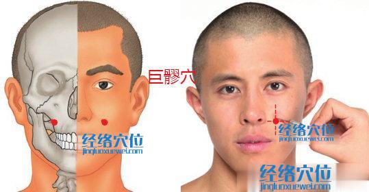 巨髎穴位位置圖