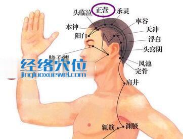 正營穴的位置圖