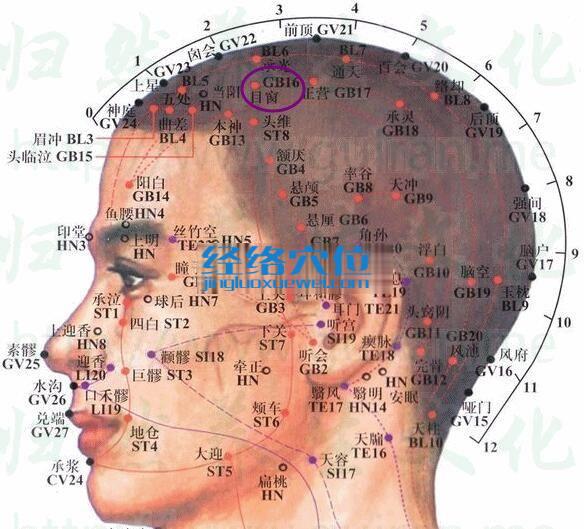 目窗穴的準(zhǔn)確位置圖