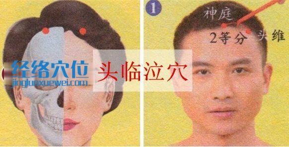 頭臨泣穴位位置圖