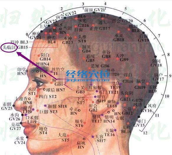 頭臨泣穴位圖