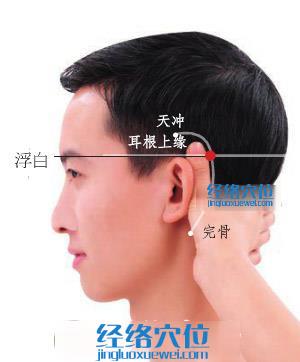 浮白穴位位置圖