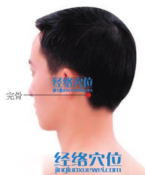 完骨穴位位置圖