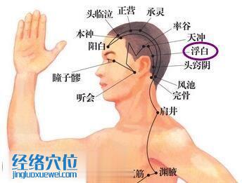 浮白穴的位置圖
