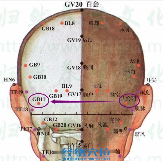 頭竅陰穴的準確位置圖