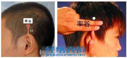 率谷穴位位置圖