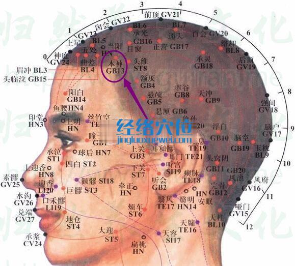 本神穴位位置圖