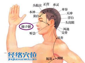 瞳子髎穴位位置圖