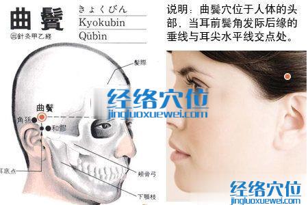 曲鬢穴位圖