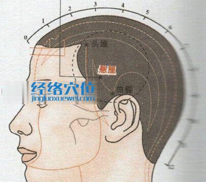 懸厘穴的位置圖