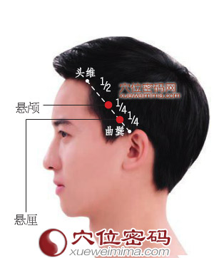 懸顱穴位位置圖