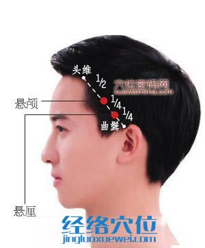 懸厘穴位位置圖